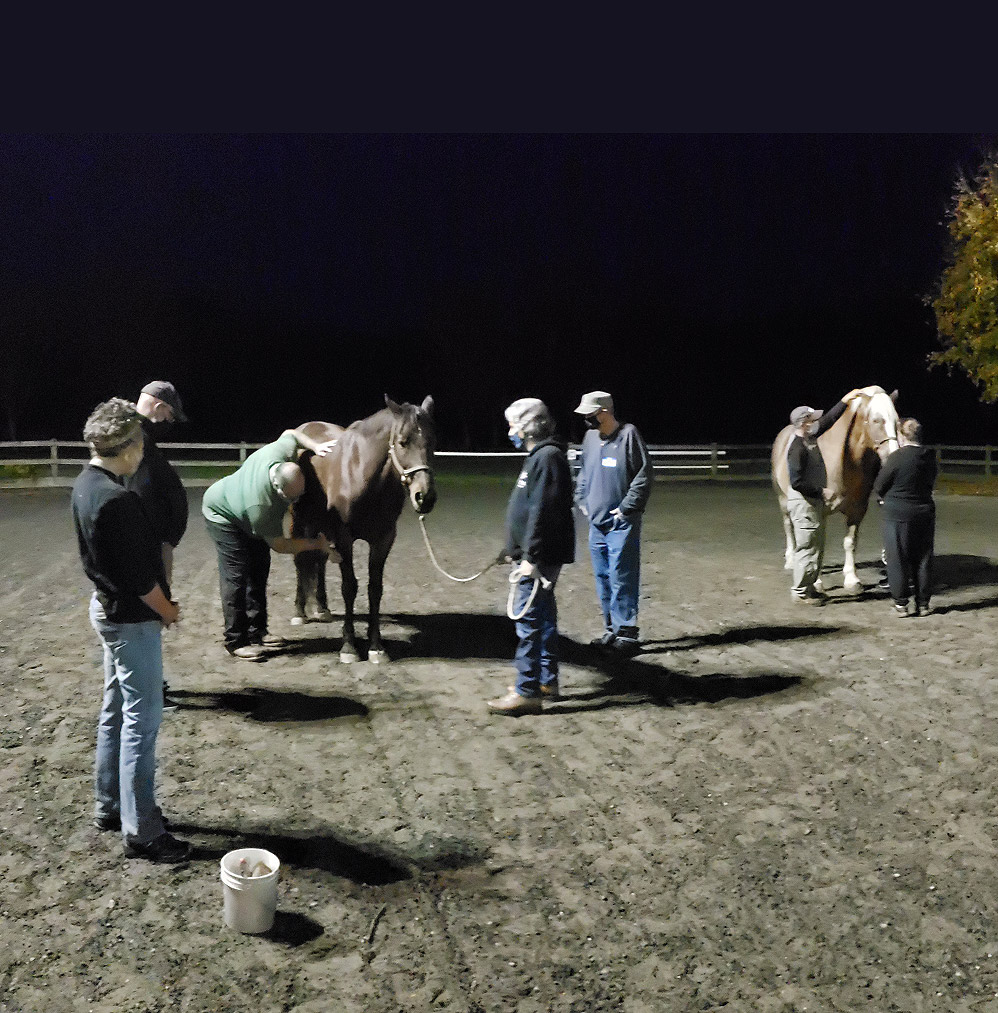 V.E.T.S Partner with High Hopes Therapeutic Riding