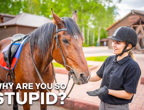 What Does the Way We Talk to Our Horses Say About Us?